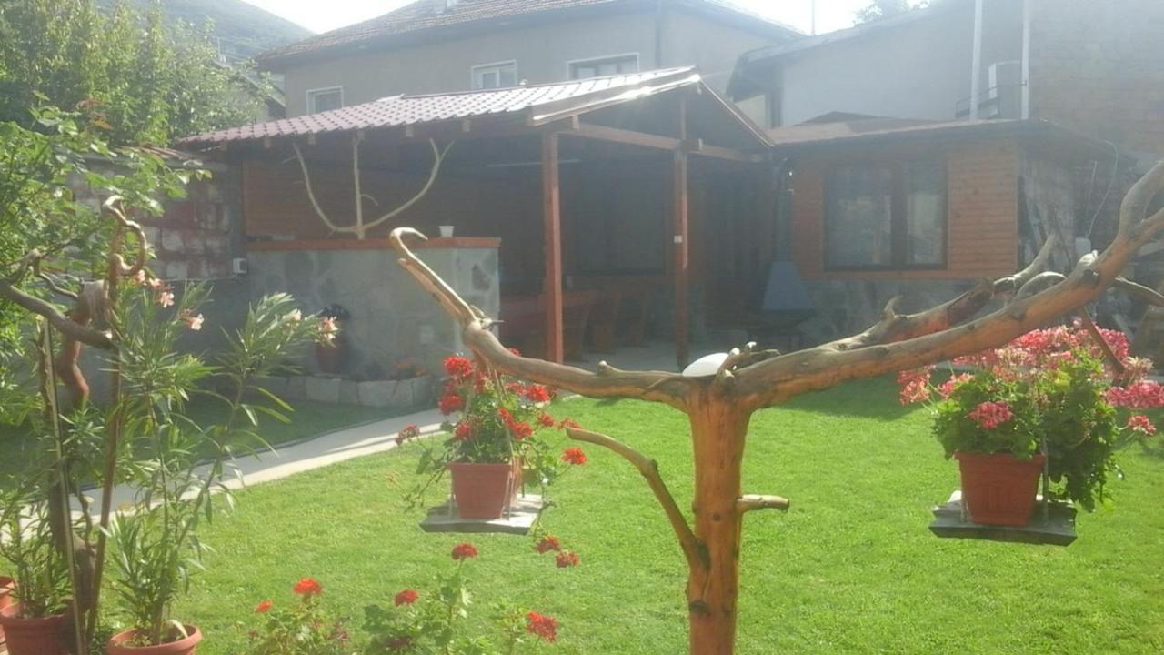 Holiday Guest House Kemo 사파레바바냐 외부 사진