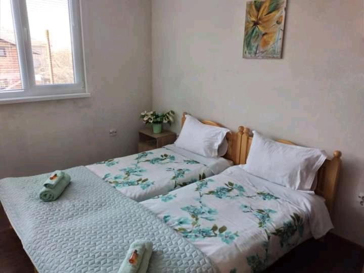 Holiday Guest House Kemo 사파레바바냐 외부 사진