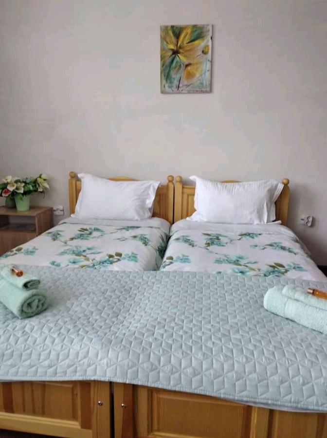 Holiday Guest House Kemo 사파레바바냐 외부 사진
