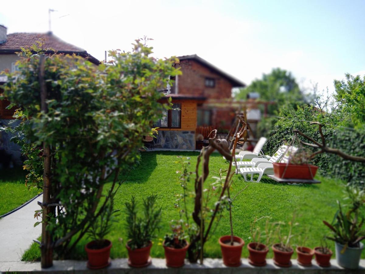 Holiday Guest House Kemo 사파레바바냐 외부 사진